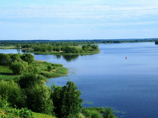 День Волги День Волги