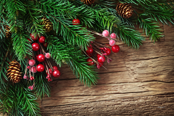 С Новым Годом! С Новым Годом!